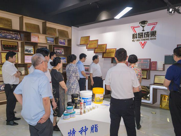 向导视察